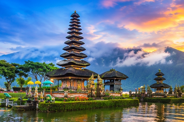 Bali rice terraces