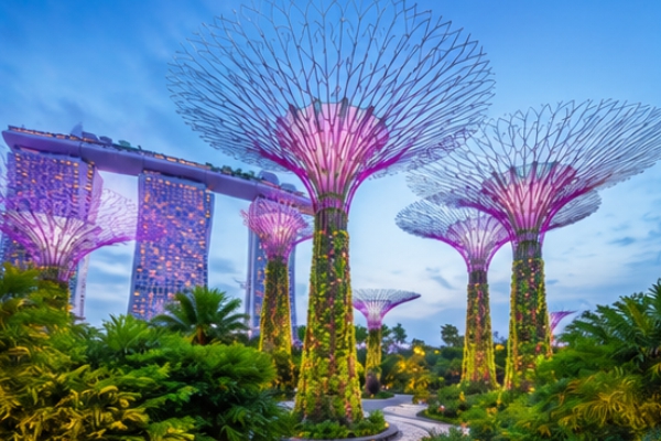 Gardens by the Bay